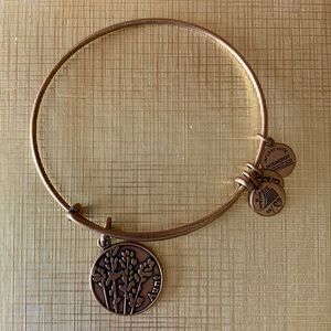 Alex & Ani bracelet